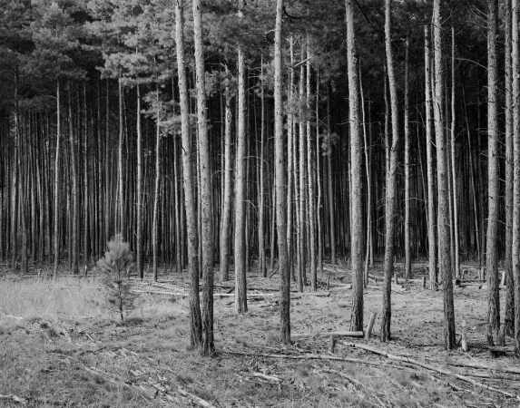 Kehrigk (aus Andreas Gehrke, Brandenburg, 2017)