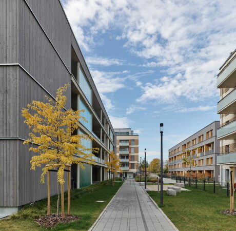 Drei Wohnhuser in Braunschweig von CKRS Architekten