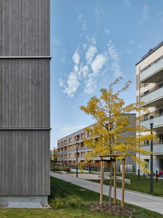 Drei Wohnhuser in Braunschweig von CKRS Architekten