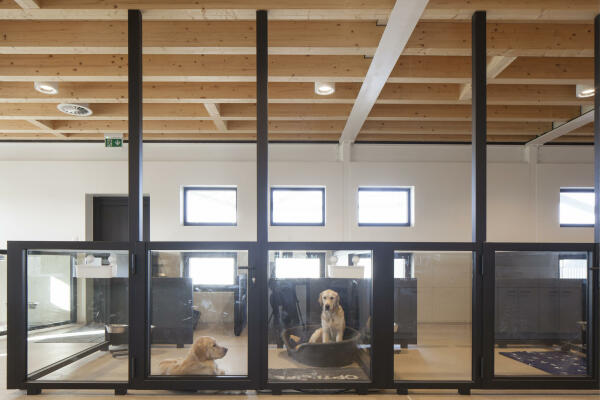 Hundetrainingszentrum von WE-S architecten bei Gent