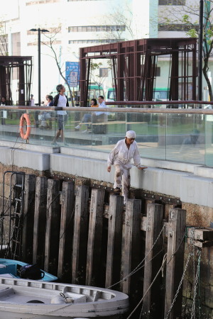 Interstitial Hong Kong