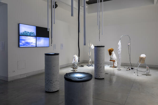 GFA mit ihren �Folk Costumes for Indo Pacific Air� (3).