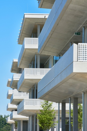 Schulcampus in M�nchen von sch�rmann dettinger architekten