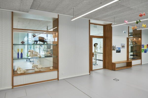 Schulcampus in M�nchen von sch�rmann dettinger architekten