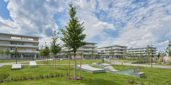 Schulcampus in M�nchen von sch�rmann dettinger architekten