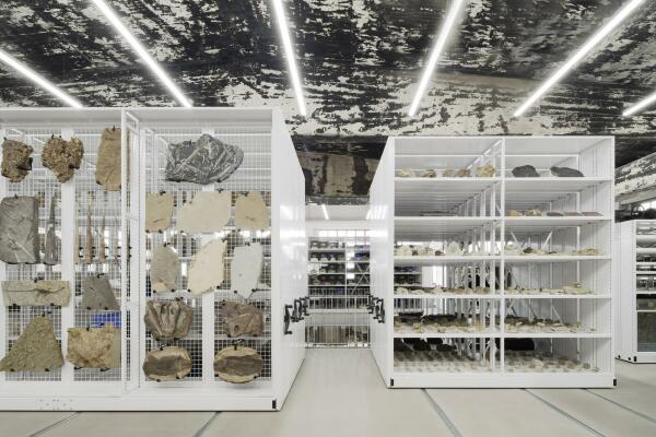 Umnutzung in Essen von sdstudio