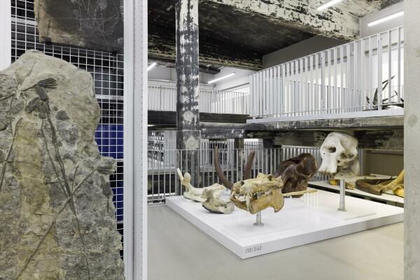 Umnutzung in Essen von sdstudio