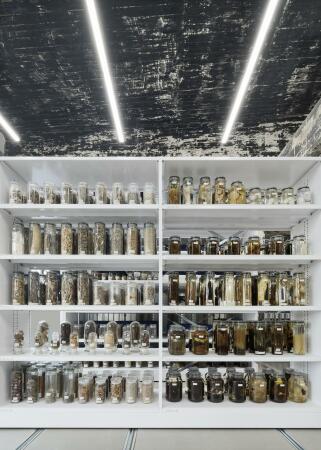 Umnutzung in Essen von sdstudio