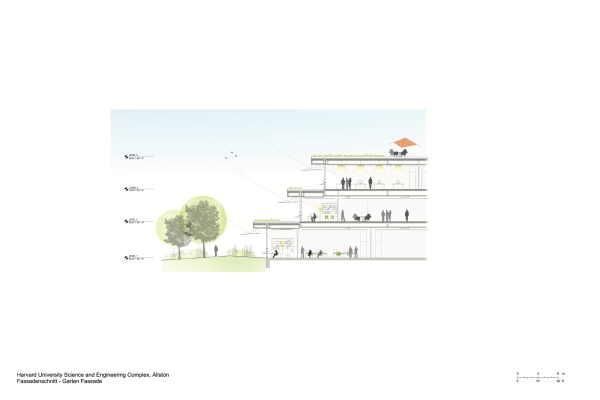 Fassadenschnitt Garten
