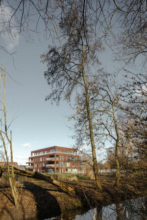 Ensemble von Orange Architects in Rotterdam