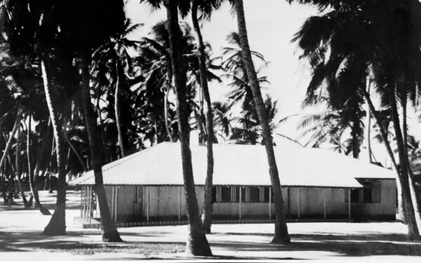 Ein Standardhaus zwischen Palmen in Australien.