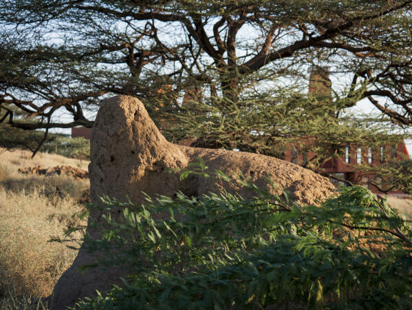 Campus von Francis Kéré am Turkana-See in Kenia