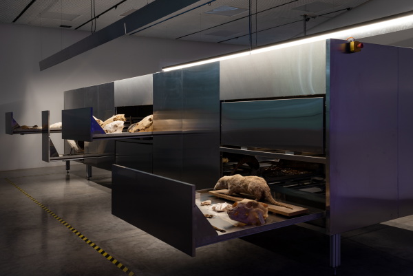 �Land. Milk. Honey.� im Israelischen Pavillon, kuratiert von Dan Hasson, Iddo Ginat, Rachel Gottesman, Yonatan Cohen und Tamar Novick. Foto: Matteo Losurdo