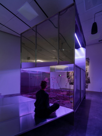 Im Fokus steht das Verh�ltnis von Mensch und Tier in Bezug zu Landschaft und zionistischem Modernisierungsprojekt. Foto: Matteo Losurdo