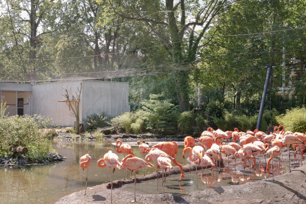 Zooanlage in Dresden von Heinle, Wischer und Partner