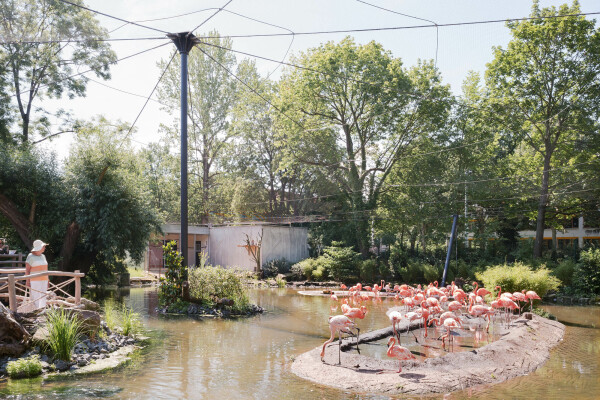 Zooanlage in Dresden von Heinle, Wischer und Partner