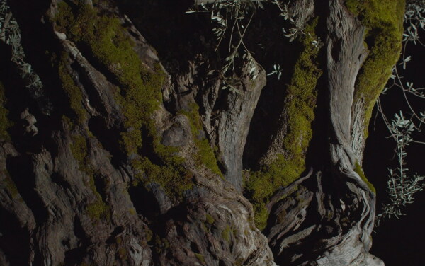 Im beeindruckenden Raum des Magazzino del Sale am Fondamenta delle Zattere versammelt Kuratorin Hala Ward� unterschiedliche k�nstlerische Disziplinen. Hier ein Still aus einer Videoarbeit von Alain Fleischer.