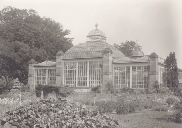 Das historische Palmenhaus (1904)