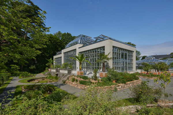 Das neue Palmenhaus (2020)