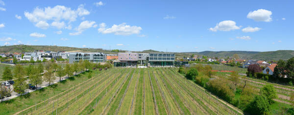 Hotelerweiterung von Steven Holl Architects in �sterreich