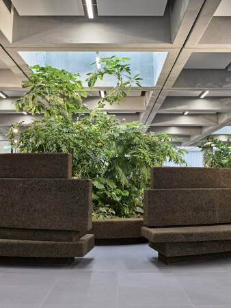 Zugang zu einem groen 