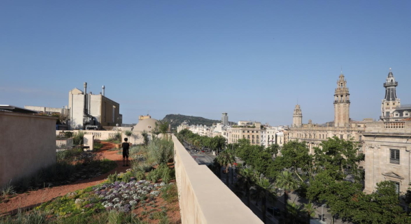 Der Xifr-Dachgarten in Barcelona ist ein Projekt der kologischen Dachbegrnung im Kontext des Denkmalschutzes eines historischen Gebudes aus dem 19. Jahrhundert.