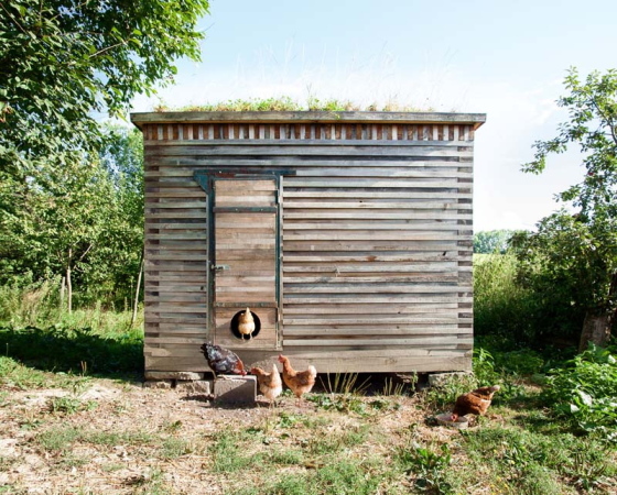 Anerkennung: Neubau eines Hühnerstalls, Schnberg, Bauherr und Architekt: Maximilian Hartinger, Schnberg