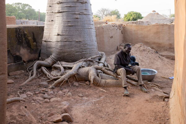 Ein Mitglied der kniglichen Familie von Tibl sitzt auf den Wurzeln eines jungen Affenbrotbaums, der in die Mauern des kniglichen Gelndes integriert ist.