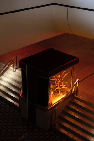 Festival zeigt mgliche Zukunft des ICC Berlin