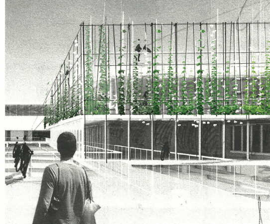 Entwurf Kindl-Garten: Skizze