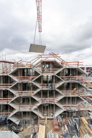 Baustellenbesuch mit Peter Haimerl im Wabenhaus Mnchen