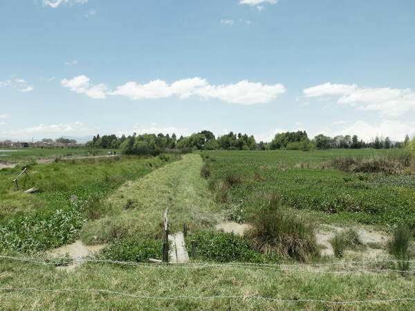 2. Preis: Landschaftsgestaltung in Bogot, Kolumbien von Edgar Mazo, Sebastian Meja und Team, Connatural (Medelln)