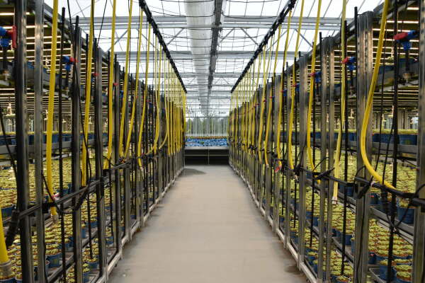 Supermarkt in Wiesbaden von acme