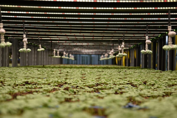 Supermarkt in Wiesbaden von acme