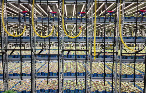 Supermarkt in Wiesbaden von acme