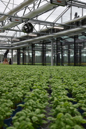 Supermarkt in Wiesbaden von acme