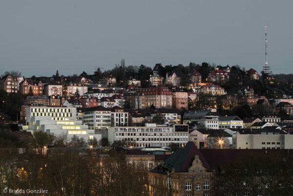 Bestes Projekt Bildungsbauten: John Cranko-Schule von Burger Rudacs Architekten