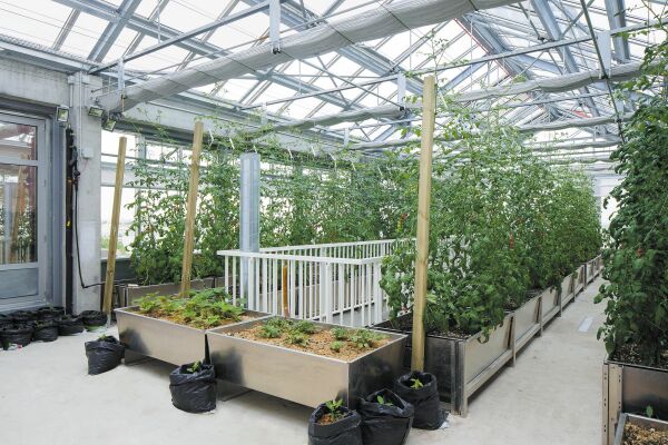 Forschungsbau in Paris von ilimelgo