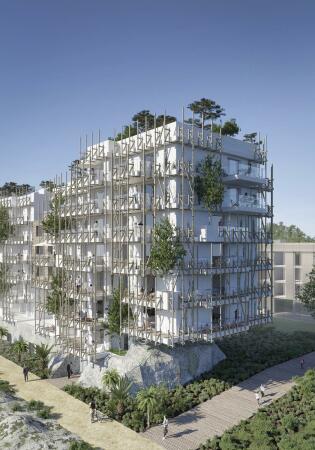 Renderings, die den kommenden Bewuchs simulieren: Hier nach einem Jahr ...