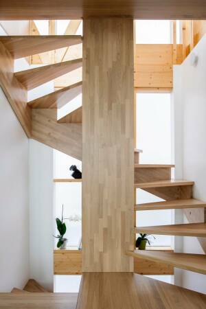 Aufstockung von JAVA Architecture in Paris