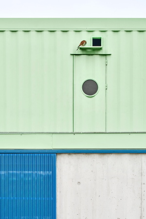 Hundeschule bei Madrid von Lys Villalba und EEEstudio