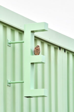 Hundeschule bei Madrid von Lys Villalba und EEEstudio