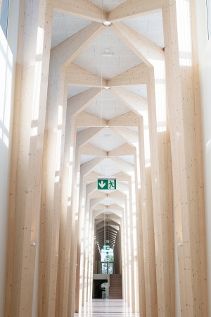 Arhitekt Must bei Tartu