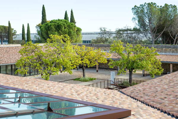 Erweiterung einer Cafeteria von Brenac & Gonzalez