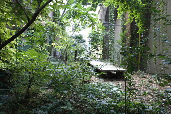 Le Jardin Sauvage in Paris von atelier le balto