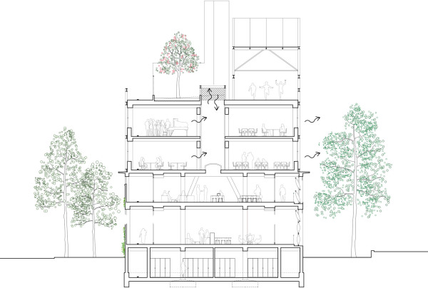 2. Rang, Ankauf: ARGE Enzmann Fischer / Meyer Dudesek Architekten (Z�rich) und koepflipartner (Luzern), Querschnitt