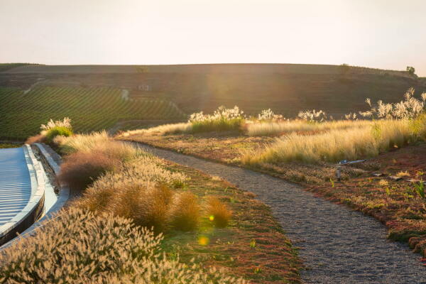 Weinkellerei von IDOM im spanischen Ollauri