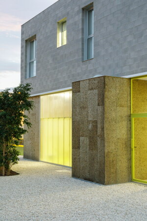 Einfamilienhaus mit Fitnessstudio in Alicante von Impepinable