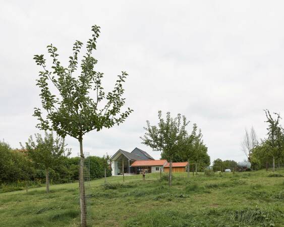 Wohnhausumbau von Graux & Baeyens