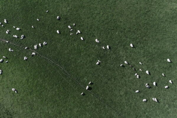 Sanierung und Neubau von Jones Architects in Wales